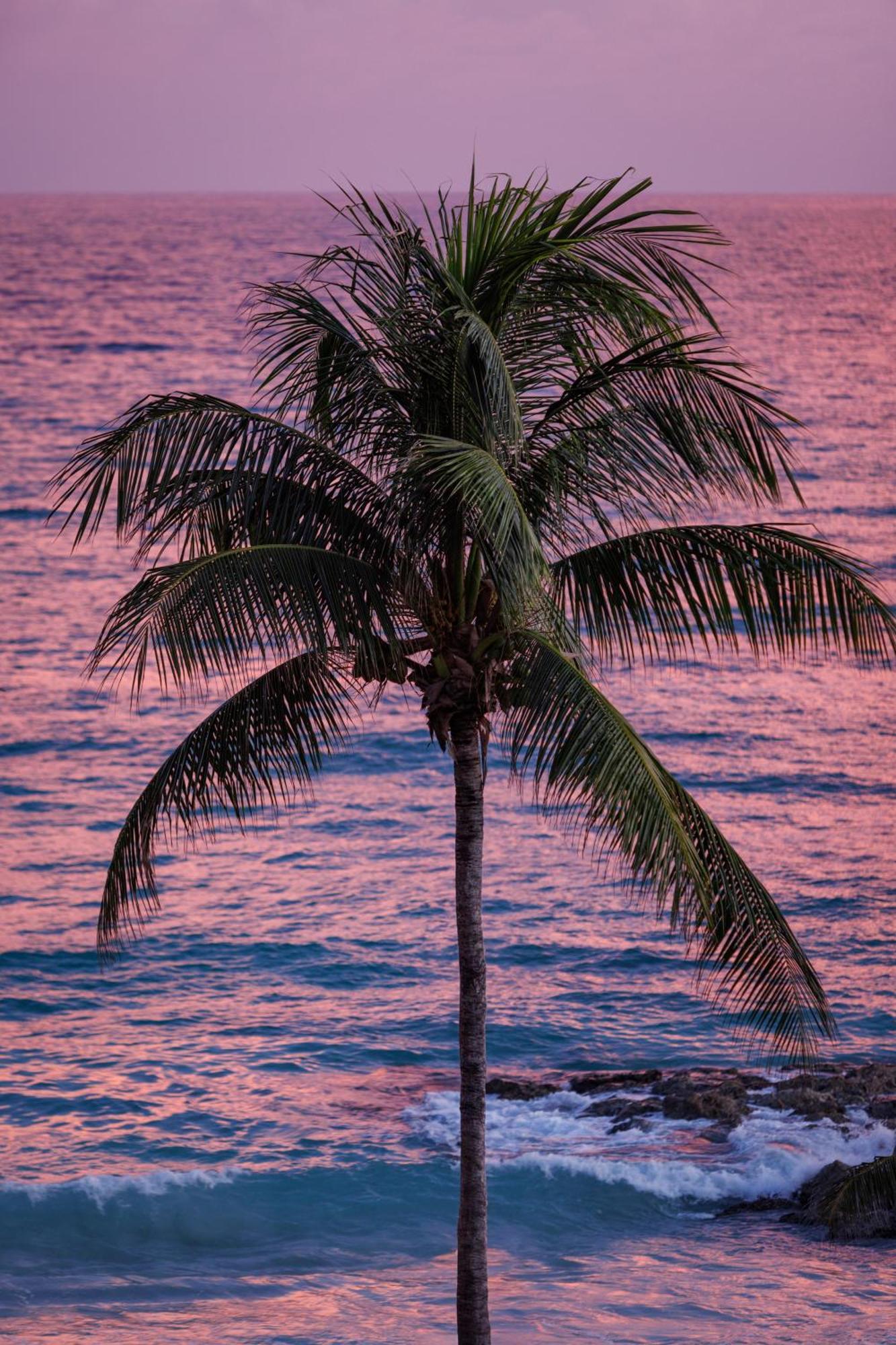 Sandals Barbados All Inclusive - Couples Only (Adults Only) Christ Church Exterior foto